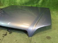 Capô SUBARU LANCASTER OEM 57229AE040 57229AE041 BHE 2001 Green 1U7