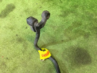 Rear anti-roll bar SUBARU LEGACY OEM 20450AC090 BG5 1996 EJ20H