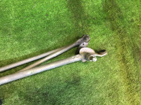 后雨刮电机 SUBARU LEGACY OEM 86510AE000 BH5 1998 EJ208