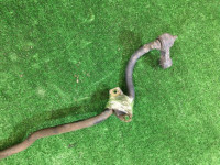 フロントスタビライザー D=21 SUBARU LANCASTER OEM 20401AE020 BHE BH9 2000 EZ30