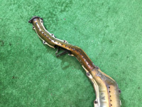 แคทาลิติก SUBARU LEGACY OEM 44101AC000, 44111AC310 BG5 BD5 1997 EJ20DD