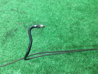 Tubería de freno SUBARU LEGACY B4 OEM 26520AE000, 26534AA000 BE9 BE5 BH5 2001 EJ254