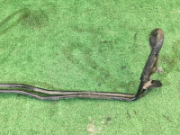Трубки охлаждения акпп SUBARU LANCASTER OEM 45522AE020 BH9 BH5 BE5 BE9 1999 EJ254
