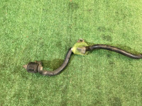 Front anti-roll bar 20мм SUBARU LANCASTER OEM 20401AE000 BH9 2000 EJ254