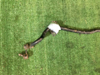 Front anti-roll bar 21mm SUBARU FORESTER OEM 20401SA010 SG5 2002 EJ205