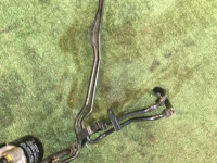ATFクーラーパイプ SUBARU LEGACY OEM 45522AE031 BEE BHE 2002 EZ30 AT