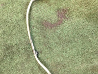 Oxygen sensor (lambda) №2 22690AA510 SUBARU LEGACY
