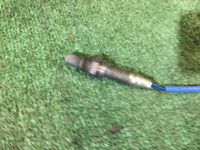 氧传感器 №1 SUBARU LEGACY OEM 22641AA032 BHE BEE 2002 EZ30