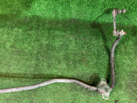 Barra estabilizadora trasera D=15.9 SUBARU OUTBACK OEM 20451AG070 BP9 2007 EJ253 AT