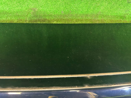 トランクリッド SUBARU LEGACY OEM 57509AG0019P BL9 BL5 BLE 2008 BLUE C8P