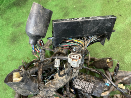 线束 электропроводка HONDA GOLD OEM 32100MCA751 2002