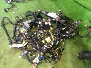 Wiring harness 81202AC520, 81801AC120, 81403AC840, 81502AC750 SUBARU LEGACY