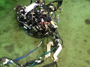 ชุดสายไฟ SUBARU OUTBACK OEM 81300AG170 BPE 2004 EZ30D