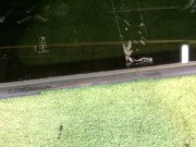 右后侧窗玻璃 SUBARU OUTBACK OEM 65210AG060 BPE 2004