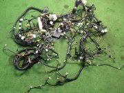 Cablagem SUBARU LEGACY OEM 81502AC700, 81202AC521, 81406AC410 BD5 1998 EJ20H