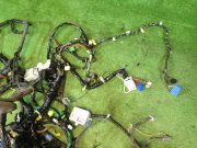 Wiring harness SUBARU LEGACY B4 OEM 81401AE310, 81401AE580, 81200AE460, 81200AE590 BE5 2001 EJ208