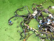 Wiring harness SUBARU LEGACY B4 OEM 81401AE310, 81401AE580, 81200AE460, 81200AE590 BE5 2001 EJ208