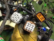ワイヤーハーネス SUBARU LEGACY B4 OEM 81200AE730, 81401AE950, 81501AE491 BEE 2002 EZ30
