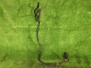 Tubos del enfriador de caja SUBARU LEGACY OEM 45522AC010 BG5 1994 EJ20H