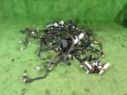 Cablagem SUBARU LEGACY GRAND WAGON OEM 81403AC480, 81801AC120, 81202AC260, 81502AC580 BG9 1995 EJ25D
