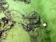 Cablagem SUBARU LEGACY GRAND WAGON OEM 81403AC480, 81801AC120, 81202AC260, 81502AC580 BG9 1995 EJ25D