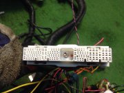 Wiring harness 81202AC510, 81403AC750, 81502AC750 SUBARU LEGACY