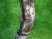 Exhaust manifold SUBARU LEGACY OEM 44102AC220, 44102AC100 BH5 1999 EJ208