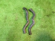 Heater hoses SUBARU LEGACY OEM 72411AC010, 72421AC010 BH5 1999 EJ208