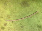 右ホイールアーチプロテクター SUBARU LANCASTER OEM 91022AE000, 91016SA000 BH9 1998 green 8K4