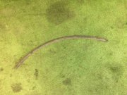 右ホイールアーチプロテクター SUBARU LANCASTER OEM 91022AE000, 91016SA000 BH9 1998 green 8K4