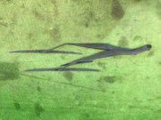 Escovas SUBARU LANCASTER OEM 86532AE000, 86532AE010 BH9 1998