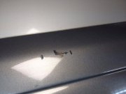 Puerta delantera izquierda SUBARU LANCASTER OEM 60009AE050, 60009AE070 BH9 2000 silver 9F9, 9G9