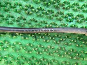 左フロントABSセンサー SUBARU LANCASTER OEM 27540AE030, 410664, GBS5066 BHE 2002 EZ30