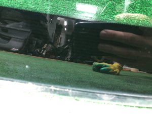 Para-brisas SUBARU LEGACY OEM 65009AE010NA BH5 2000