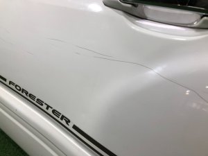 Left rear door SUBARU FORESTER OEM 61401FC013 SF9, SF5 1998 White 51E